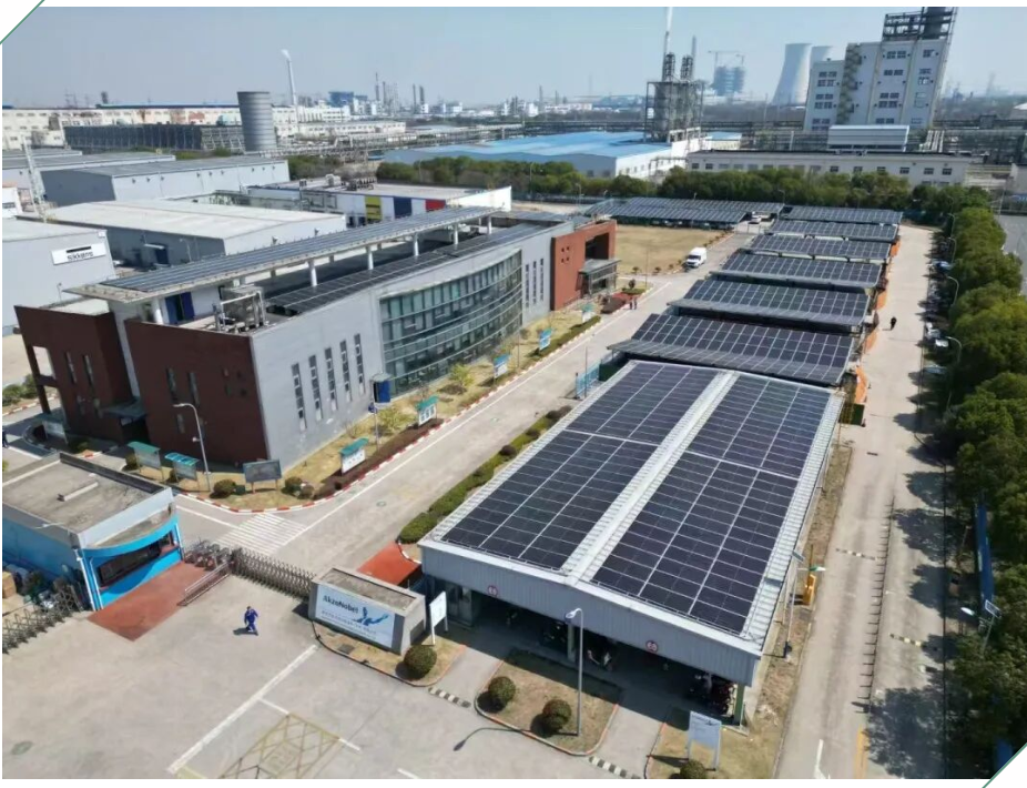 1885b54fd659c9f8c1808c2c7450e851