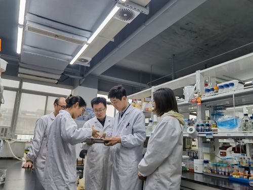 江南大學(xué)食品學(xué)院深化援疆合作，助力新疆食品科技產(chǎn)業(yè)升級